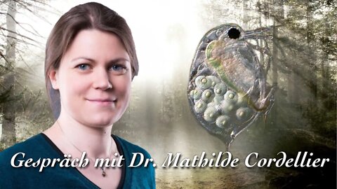 Unsterbliche Wasserflöhe - Dr. Mathilde Cordellier