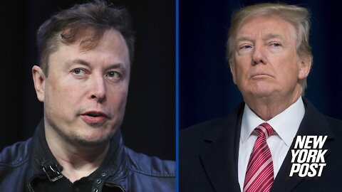 Elon Musk taunts Trump with crude meme about Twitter 'temptation'