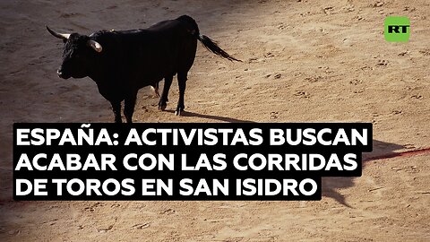Activistas en España buscan acabar con las corridas de toros en San Isidro