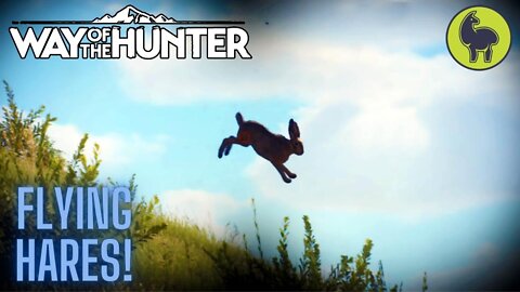 Flying Hares! Transylvania | Way of the Hunter (PS5 4K)