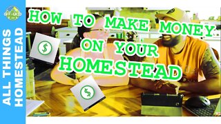 How To Make Money Homesteading // Homestead Money