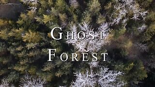 Ghost Forest | 4K Scenic Short Film
