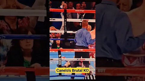 Canelo's Brutal KO! #boxing #canelo #boxingfight #shorts