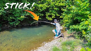 Fishing with a STICK! ($5 Fly Fishing Challenge)