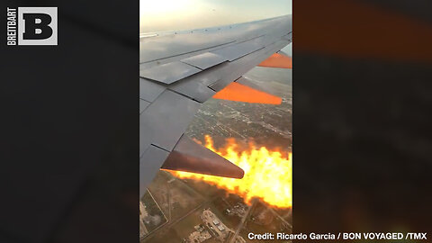RETURN TO BASE! Southwest Plane ABORTS FLIGHT After Flames Shoot Out of Engine