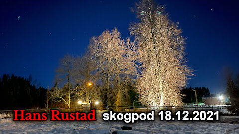 Skogpod 18. desember: Når man kjøper aviser for å se hvor dårlige de er