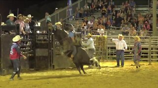 Tampa Bay Rodeo & Family Festival | Morning Blend