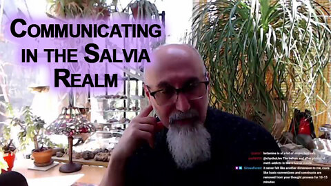 Salvia Divinorum Journey: Communicating in the Realm of Salvia [ASMR]