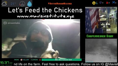 Climate Change, 5G & Ur Health Let's Feed the Chickens : Ep 48: