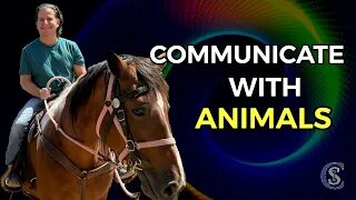 You Can Communicate With Animals! What A Horse Taught Me