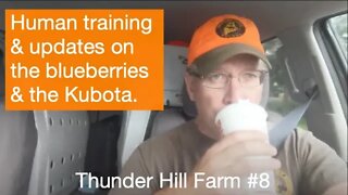 Thunder Hill Farm #8 - Human training... and a blueberry and Kubota L3560 update