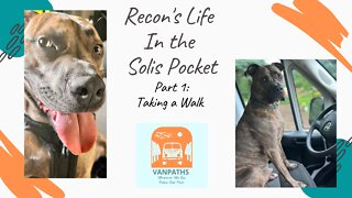 A Day in the Life of Our Dog in The 2022 Solis Pocket-@Vanpaths