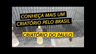 CONHEÇA O CRIATÓRIO DO PAULO