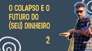 O Colapso e o futuro do (seu) dinheiro