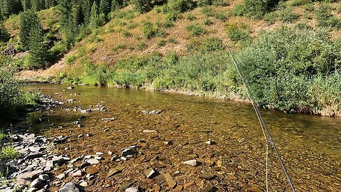 Out of this world gorgeous with a healthy population of native trout!