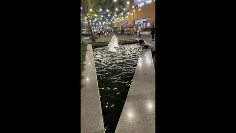 Relaxing fountain at the Mall of Asia in the Philippines