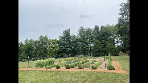 No Till Gardening Part 2