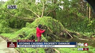 Strong winds destroy pool cage, rip giant trees from ground