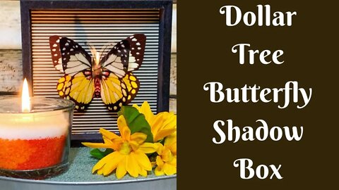 Everyday Crafting: Dollar Tree Butterfly Shadow Box