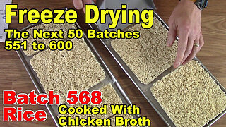 Freeze Drying - The Next 50 Batches - Batch 568 - Rice Cooked with Chicken Broth