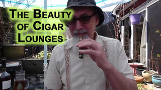 The Beauty of Cigar Lounges, Free Speech