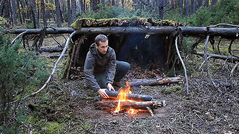 Bushcraft Survival in the Woods with One Knife, Overnight in Natural Shelter, Edible Mushrooms