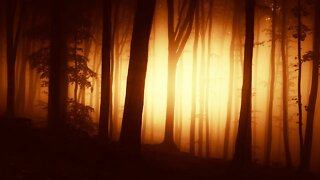 Spooky Autumn Music – Forest of Eternal Sunset | Dark, Mystery