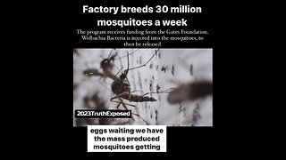 Bill Gates' Mosquito Factory: A Billionaire's Experiment on the Public?