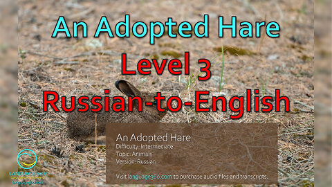 An Adopted Hare: Level 3 - Russian-to-English