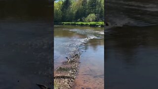 Beautiful flow of water at Bonshaw trails