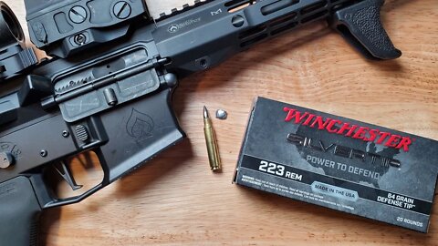 Winchester Silver Tips for HOME DEFENSE! Are they GOOD ENOUGH to Protect You?