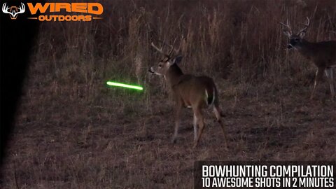 Bowhunting Compilation - 10 Awesome Shots in 2 Minutes