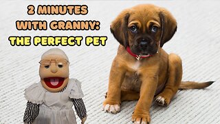 2 Minutes with Granny: The Perfect Pet