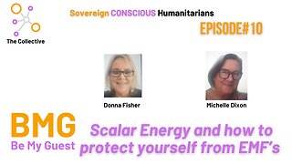 10. Be my Guest (BMG) - Donna Fisher - Scalar Energy and how to protect yourself from EMF’s