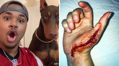 Funny Cat And Dog Videos That Will Make You Laugh So Hard You Cry 🤣#2️⃣| Paws Affliction