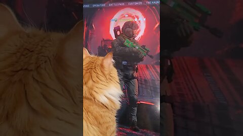 My cat just saw himself as my Call of Duty character. #callofduty #cats #funny