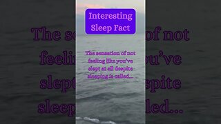 Beach Sleep Secret? 😴🏖️ | Surprising Fact Revealed! @AmbientNoiseCo. #beachvibes #facts #ocean