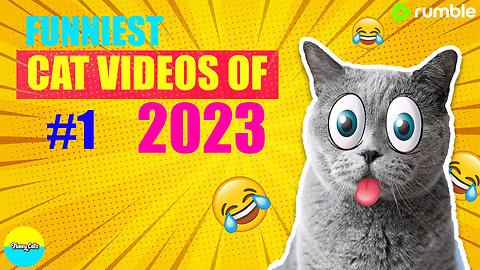 Try Not To Laugh Challenge😂-Funny Cats Videos 2023 #1