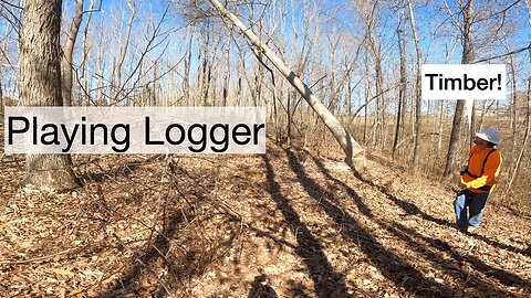 Playing Logger