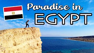 I FOUND PARADISE IN EGYPT! South Sinai Adventures (Part 1) الجنة في مصر Travel Vlog