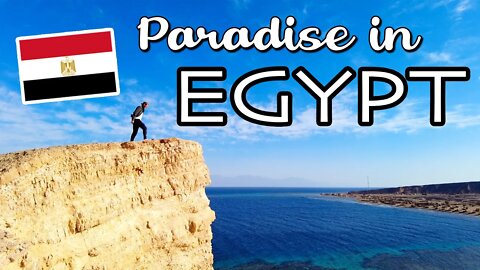 I FOUND PARADISE IN EGYPT! South Sinai Adventures (Part 1) الجنة في مصر Travel Vlog