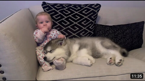 The Best Year Of Our Lives! Baby And Puppy Growing Up Together! (Cutest Ever!!)