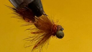 Cichlid/Carp Getter on #8 Hook Fly Tying