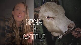 mRNA Vaccines Being Used On Livestock: Australian Farmer Gives Update On Status