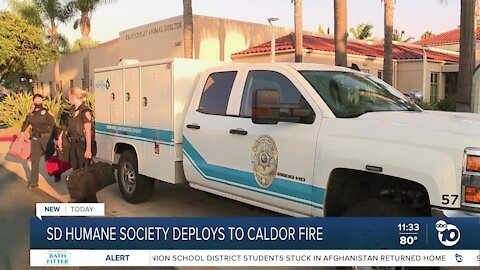 SD Humane Society deploys officers to Caldor Fire
