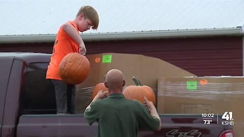 Liberty pumpkin patch adjusts hiring requirements to widen employment pool