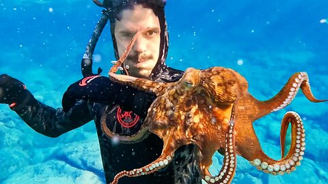 I Tried to KILL an Octopus... then THIS Happened!