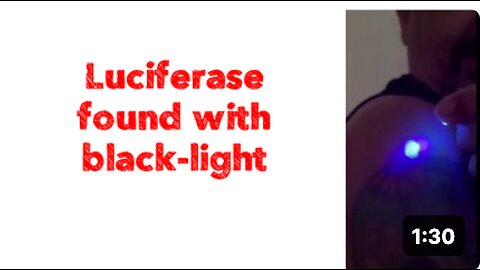 Luciferase found with black-light