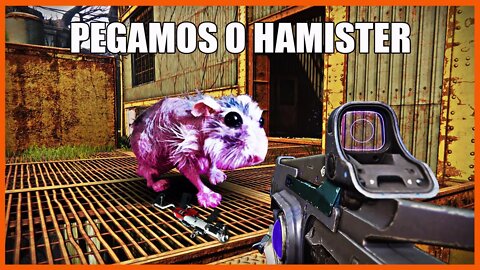 Pegamos o Hamister