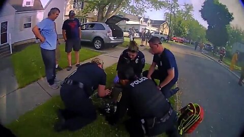 Town of Tonawanda police and paramedics rescue dogs from fire